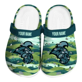custom coastal carolina chanticleers hills illustration clogs best selling
