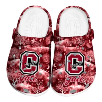 customized colgate raiders snowy hills clogs best selling