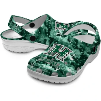 customized hawaii rainbow warriors snowy hills clogs high quality