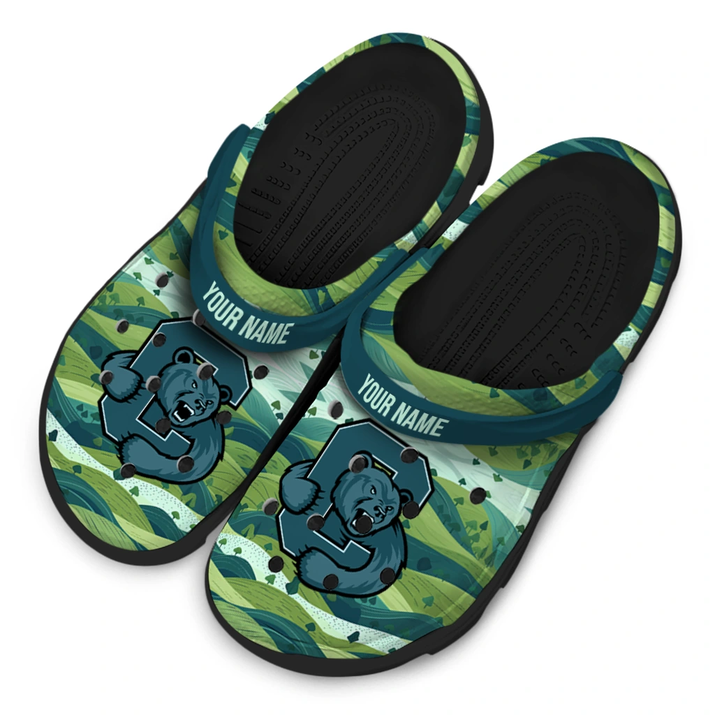 personalized cornell big red hills illustration clogs latest model personalized cornell big red hills illustration clogs latest model